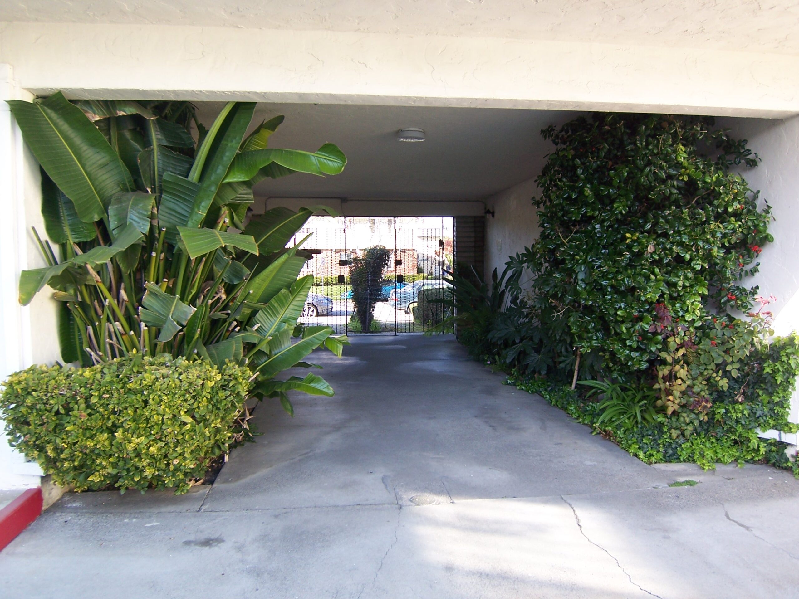 A walkway with plants and bushes in the middle of it.